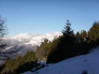 PICT0275
