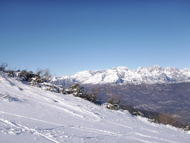 PICT3602.JPG