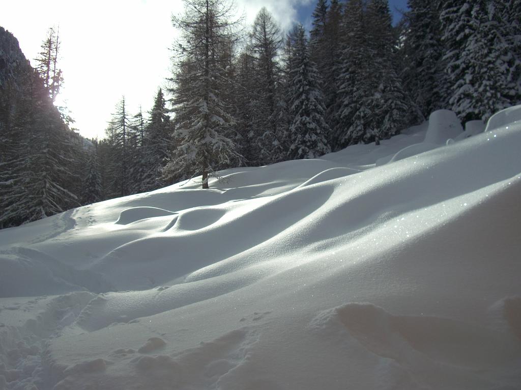 20100114,_MALGA_LA_VALLETTA_M.1794_009.jpg
